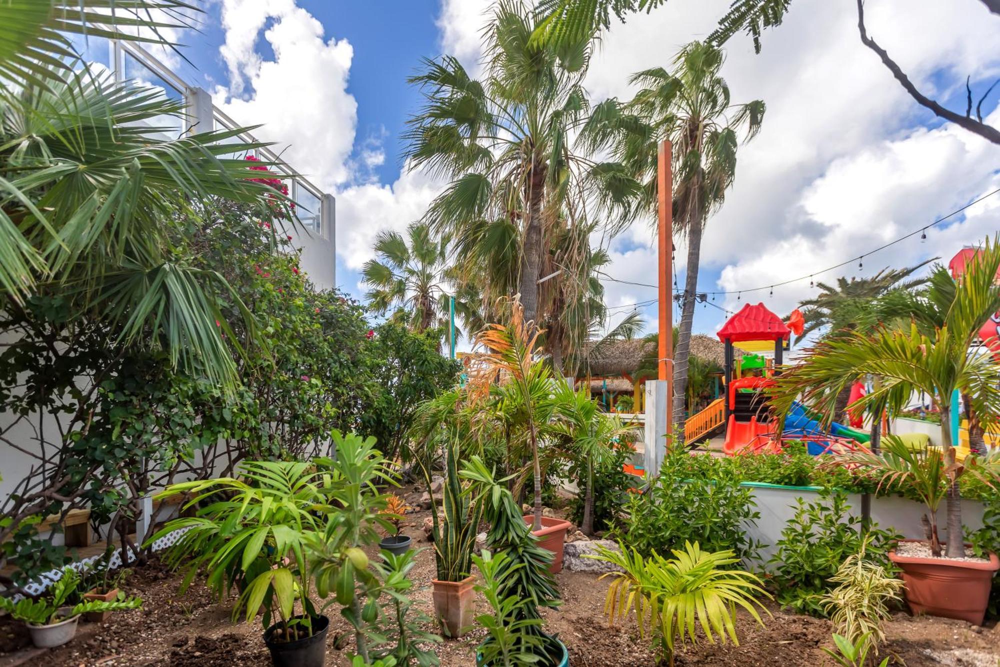 Maho Beach House - Studio - Beach Access Exteriör bild